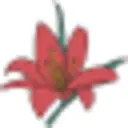 Daylily Nursery